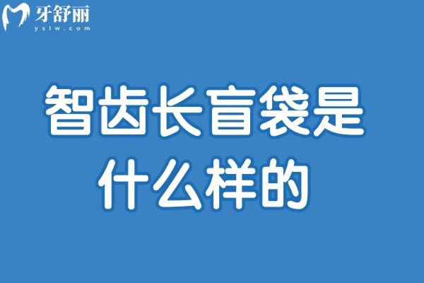 智齒長盲袋是什么樣的